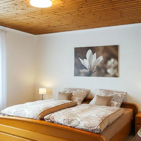 Beautiful In With Kitchen Apartment *